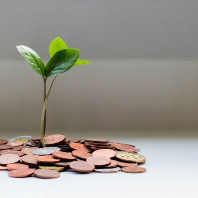 Financial Statements-2023