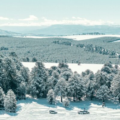 A New Year’s Message